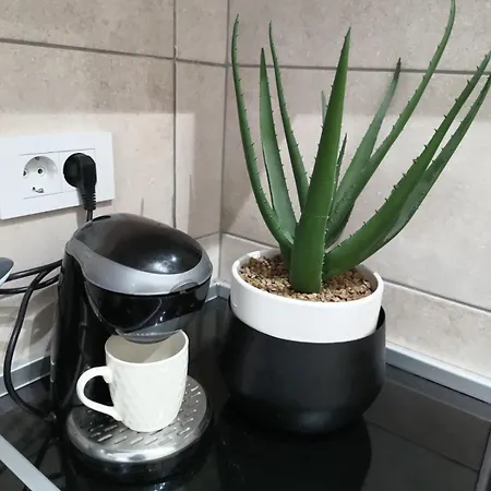 Zoe Apartment Trnava (Jagodina)